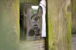Tree Camera Video Cam Safer Hunts Resists Extreme Condition Campsite
